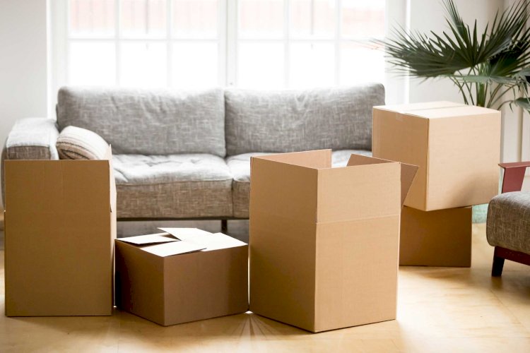 How Can Hiring Professional Removalists Save Money?