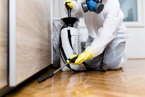 Top Methods of Controlling Pests And Diseases