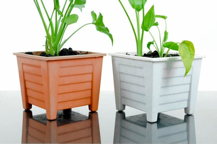 Ideas To Use Large Square Planters